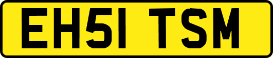 EH51TSM