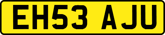 EH53AJU
