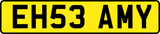 EH53AMY