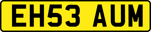 EH53AUM