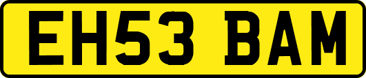 EH53BAM