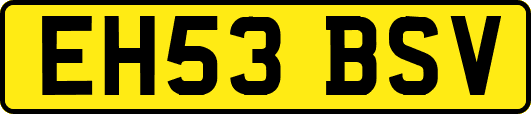 EH53BSV