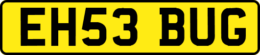 EH53BUG