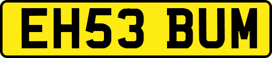 EH53BUM