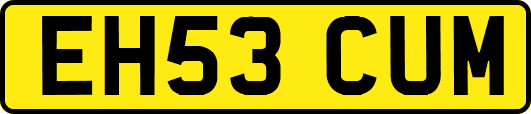 EH53CUM