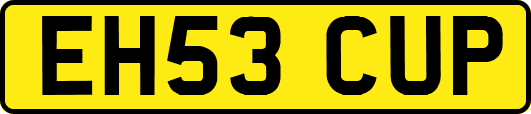 EH53CUP