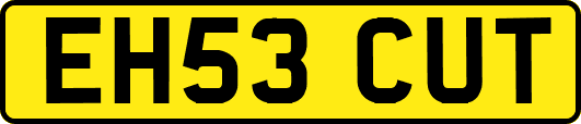EH53CUT