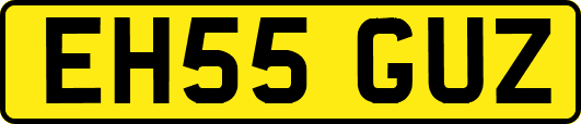 EH55GUZ