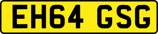 EH64GSG