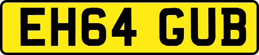 EH64GUB
