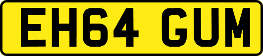 EH64GUM