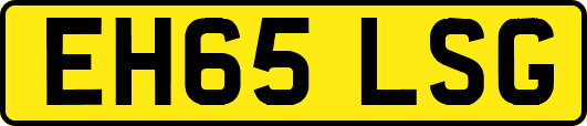 EH65LSG