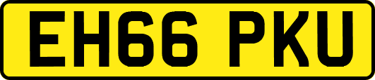 EH66PKU
