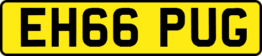 EH66PUG