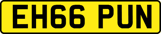 EH66PUN