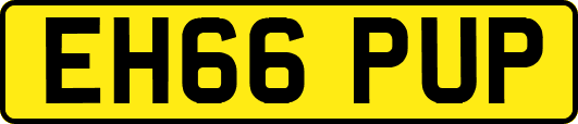 EH66PUP