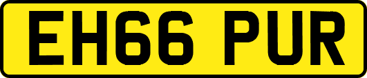 EH66PUR