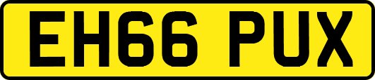 EH66PUX