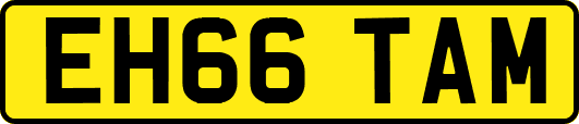 EH66TAM