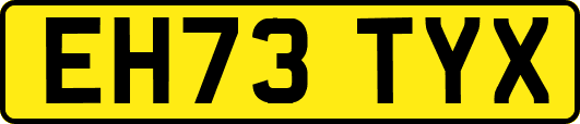 EH73TYX