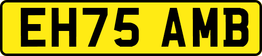 EH75AMB