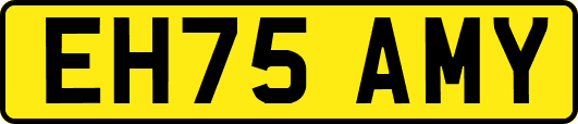 EH75AMY