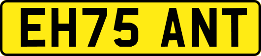 EH75ANT