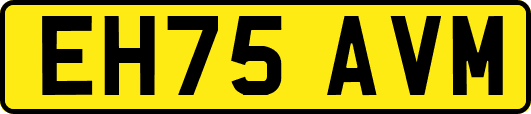 EH75AVM