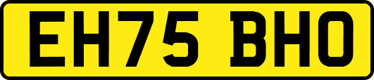 EH75BHO