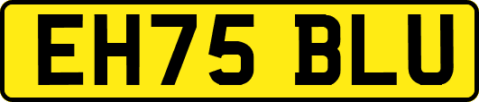 EH75BLU