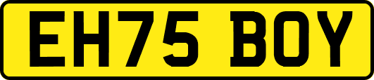 EH75BOY
