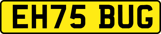 EH75BUG