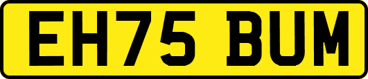 EH75BUM