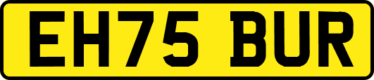 EH75BUR