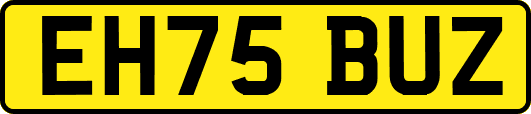EH75BUZ