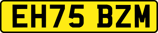 EH75BZM