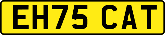 EH75CAT