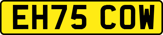 EH75COW