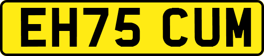 EH75CUM