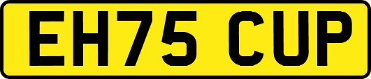 EH75CUP