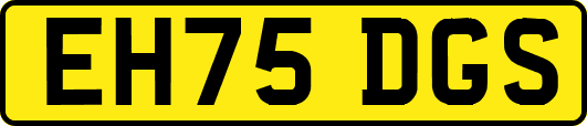 EH75DGS