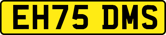 EH75DMS