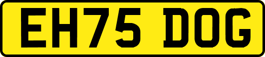 EH75DOG