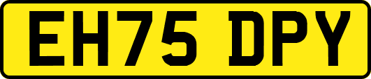 EH75DPY