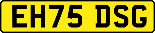 EH75DSG