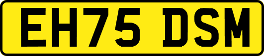 EH75DSM