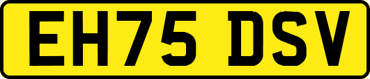 EH75DSV