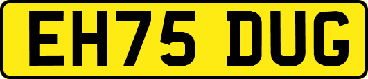 EH75DUG