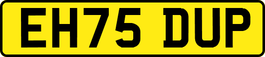 EH75DUP