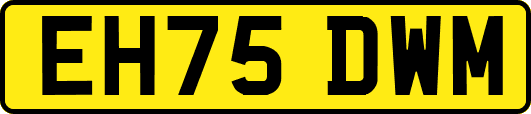 EH75DWM